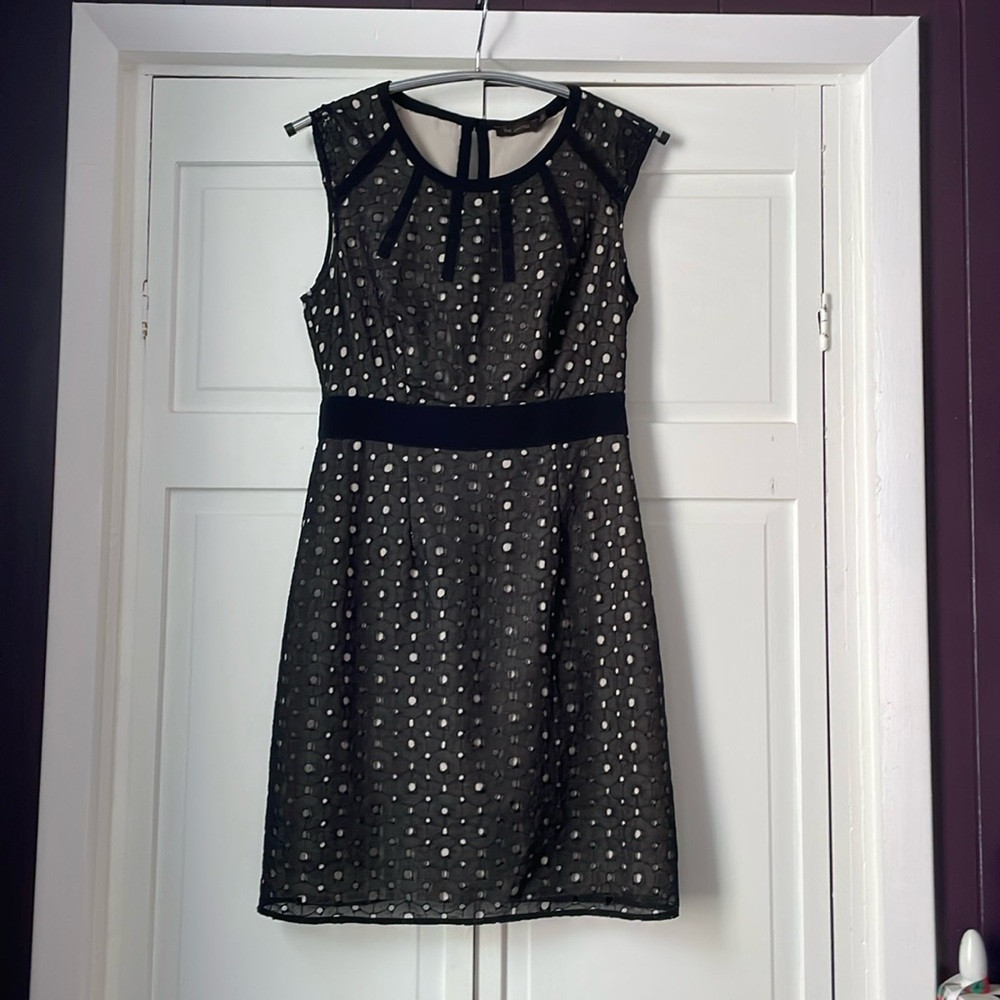 The Limited Eyelet Cutout Pencil Dress - 6